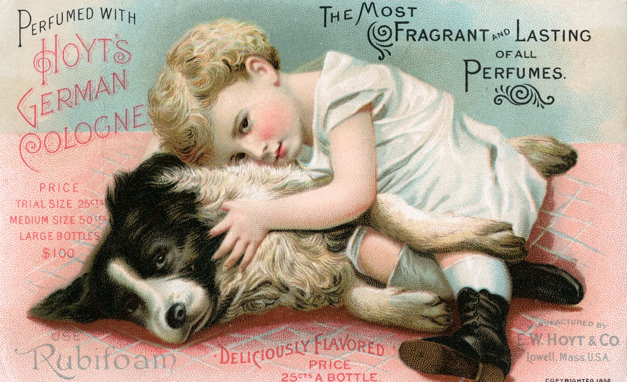 Hoyt német kölni illusztrációja alkotó: Unknown artist