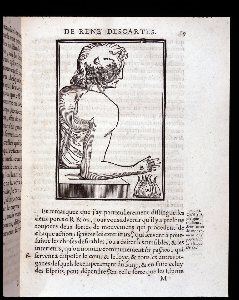 Az emberi érzékszervi rendszer kapcsolódik az agyhoz – Párizsban: Rene Descartes embere és a magzat kialakulása alkotó: Unknown artist