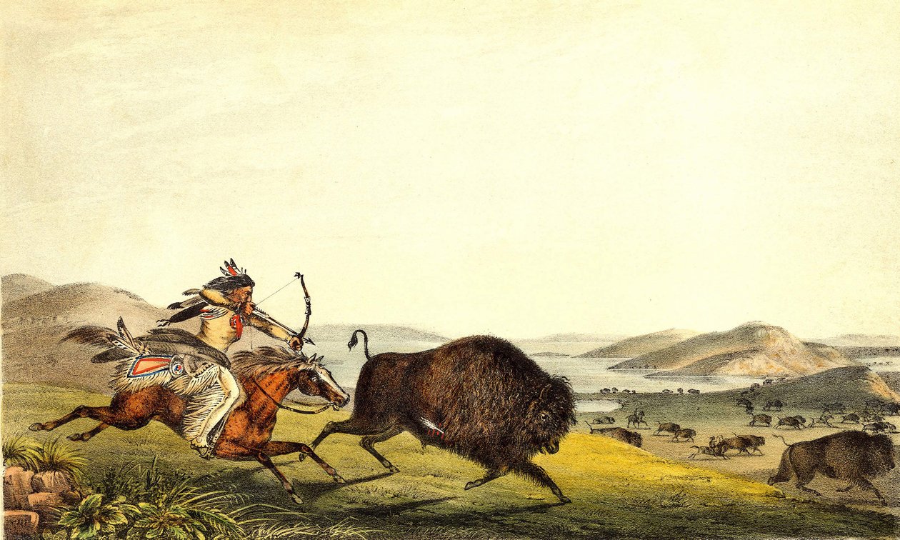 Bölény vadászat Észak-Amerikában. SD. 19. század. alkotó: Unknown artist
