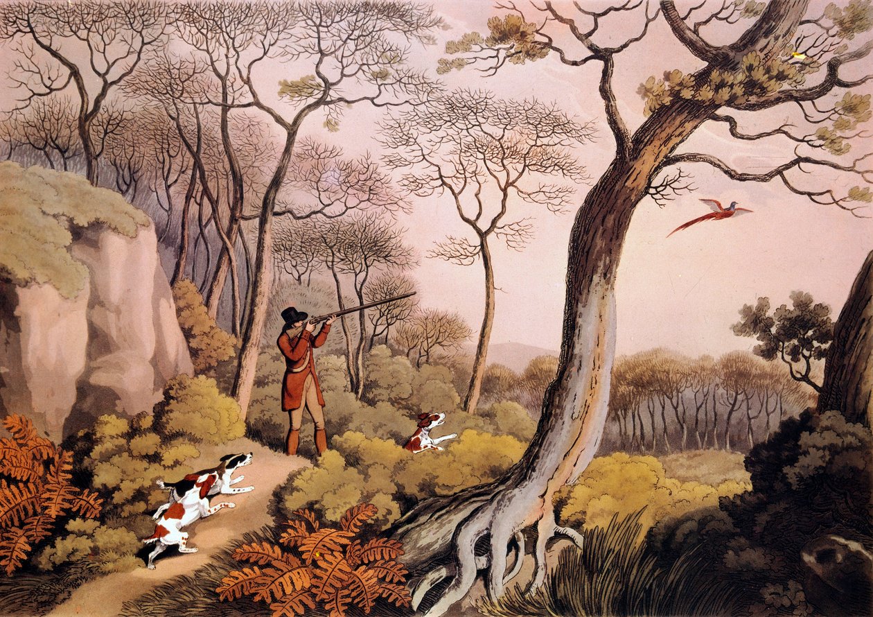 Fácánvadászat Angliában. 19. századi metszet. Gien, vadászati múzeum alkotó: Unknown artist