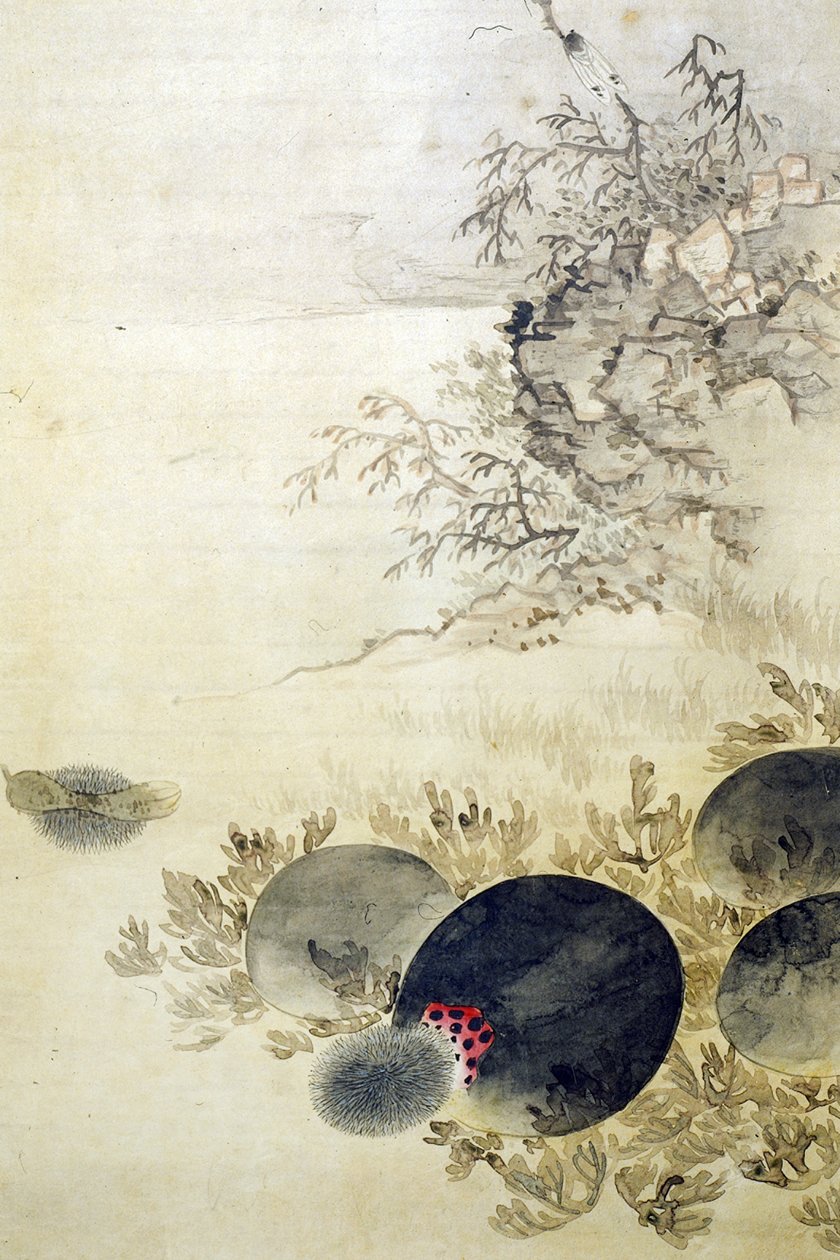 Hwajodo alkotó: Unknown artist