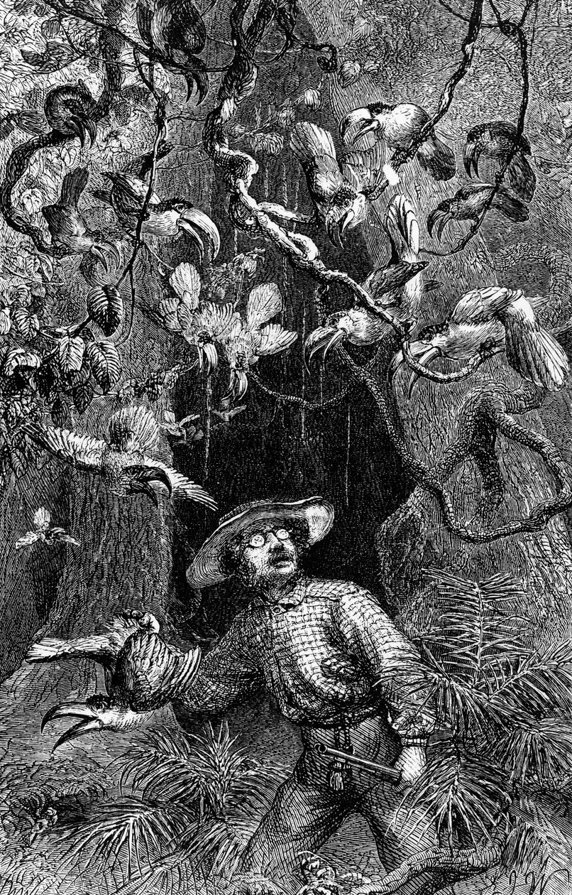 Illusztráció A természettudós az Amazonas folyón", Henry Walter Bates (metszet) alkotó: Unknown artist