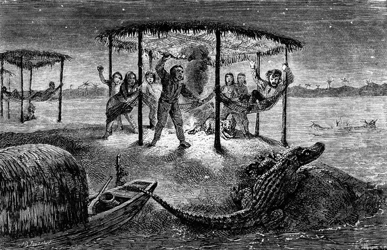 Illusztráció A természettudós az Amazonas folyón", Henry Walter Bates (metszet) alkotó: Unknown artist