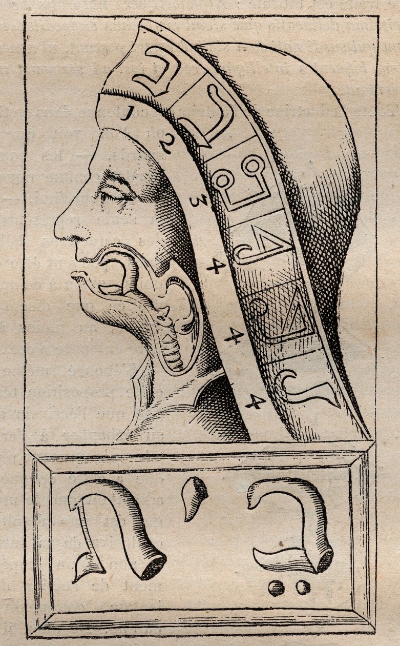 Illusztráció: Francis Mercurius van Helmont (1618–1699) „A természet ábécéje” (A természet ábécéje) (Francois Mercure Van Helmont azt állította, hogy a héber ábécé minden betűje (a kezdetnek tartotta) alkotó: Unknown artist