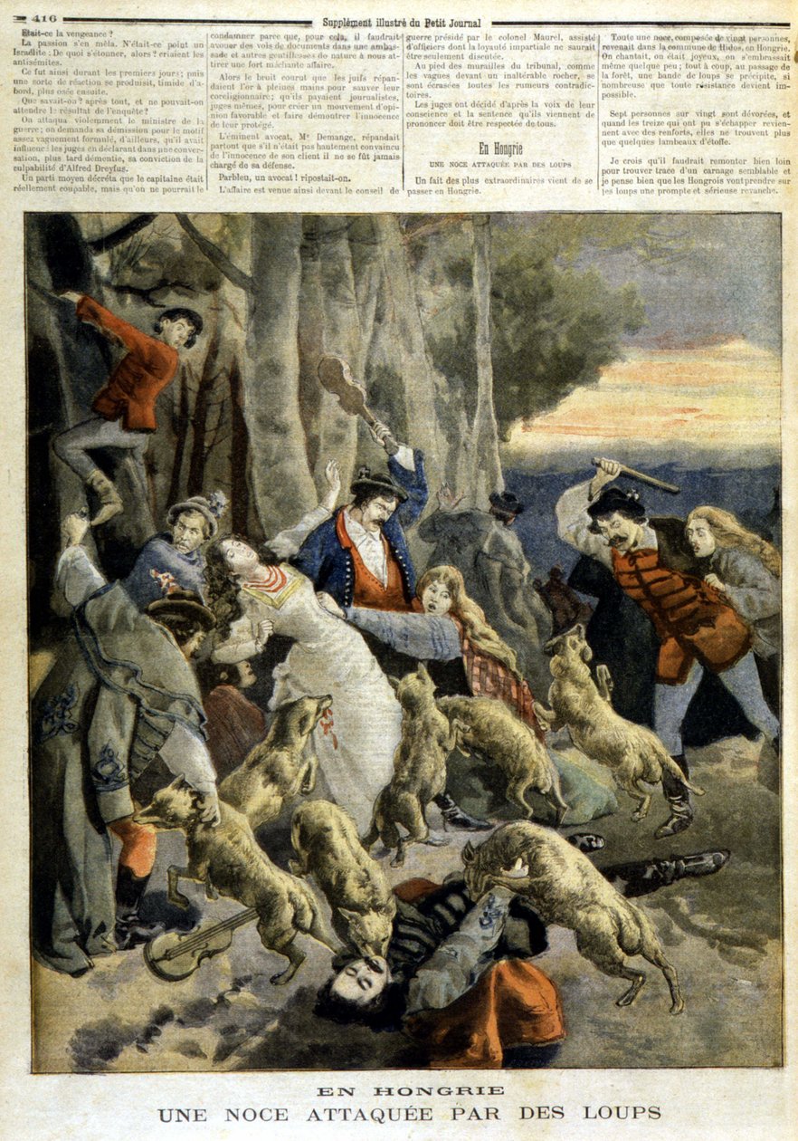 Magyarországon: farkasok által megtámadt esküvő - a „Le Petit Journal” 1894.12.23-i számában alkotó: Unknown artist