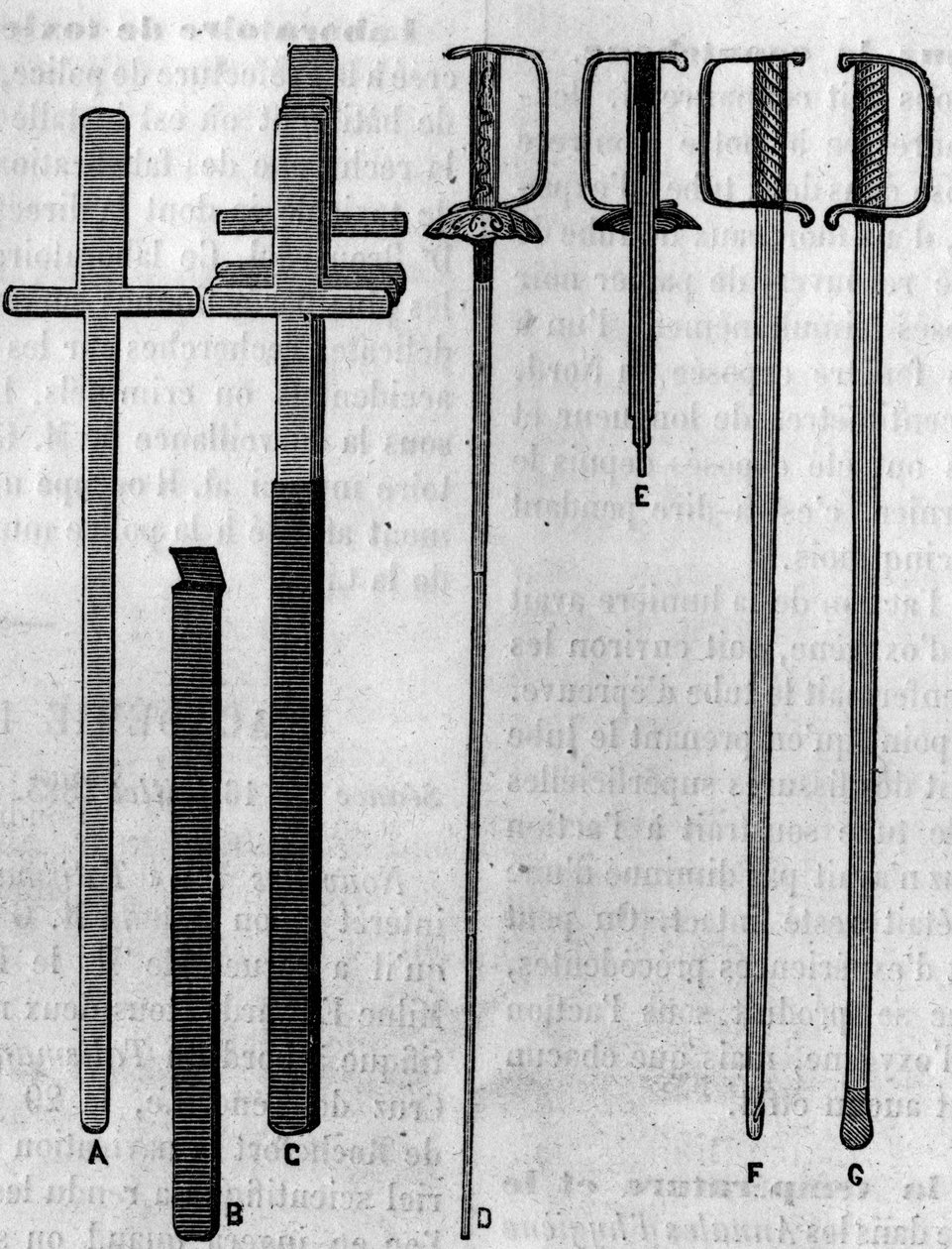 A kardfecske által használt hangszerek. Metszet a „természetbe”: 1883. július 21-i áttekintés a tudományokról és alkalmazásukról a művészetben és az iparban. alkotó: Unknown artist