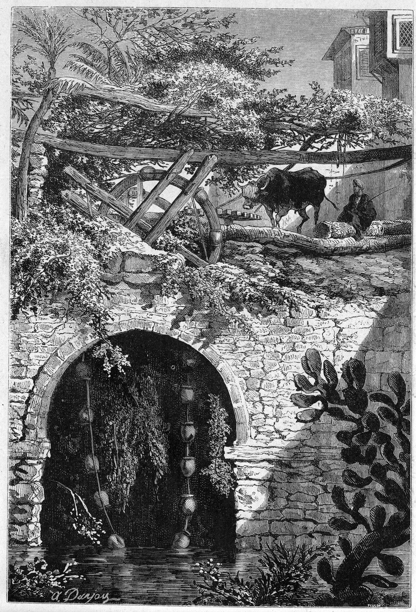 Öntözés Egyiptomban: az ökör egy kereket forgat, amely köré vödrök vannak becsomagolva. Metszet az 1882. május 27-i „” Le Monde Illustré”” 1313. sz. alkotó: Unknown artist