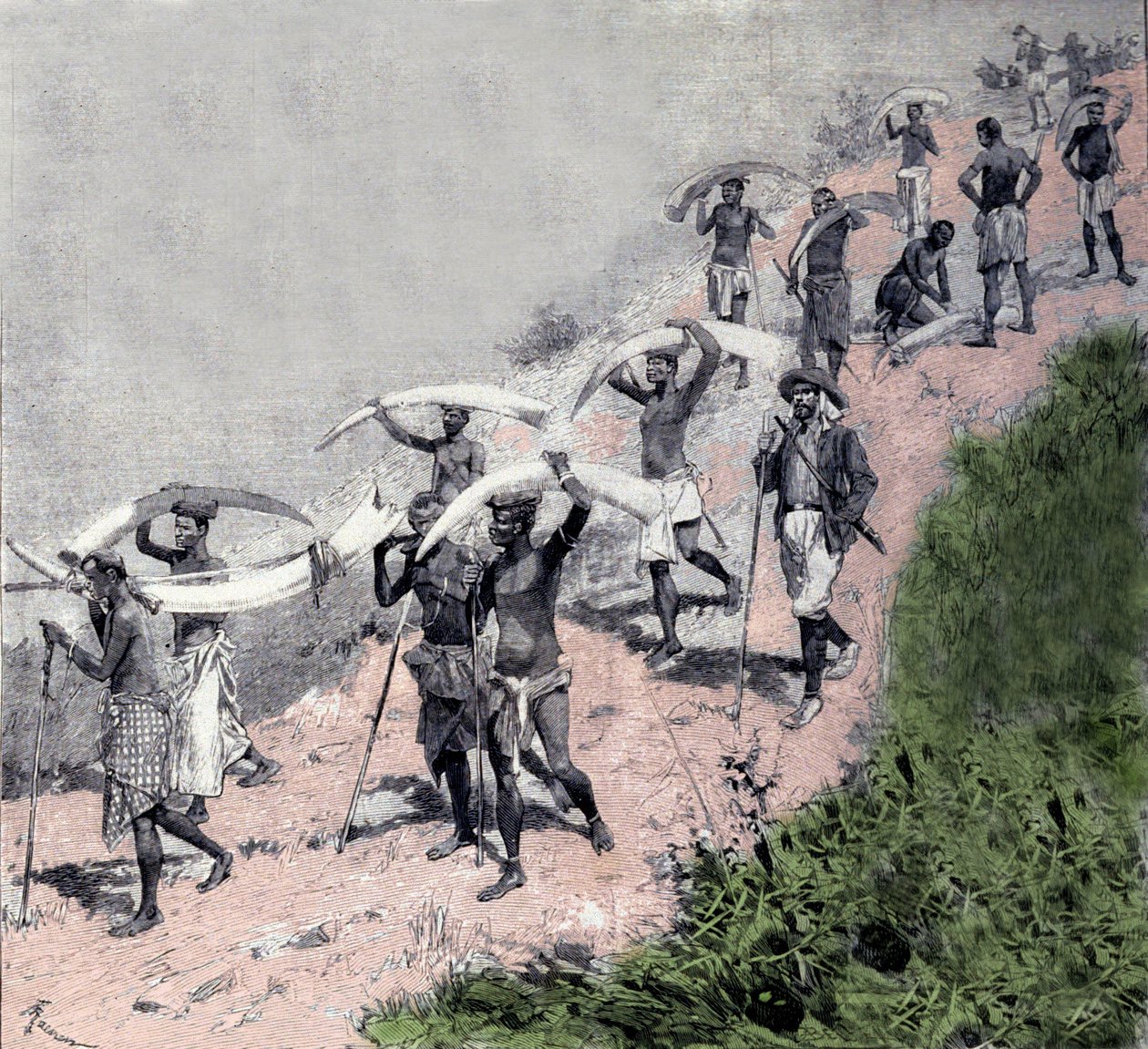 Elefántcsont-kereskedelem: a kongói hordozók karavánja elefántvédelmet szállít. századi metszet alkotó: Unknown artist