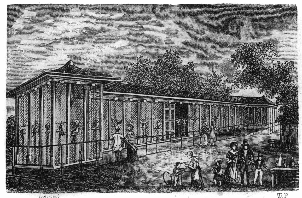 Jardin des Plantes Párizsban 1861-ben: solymászat. alkotó: Unknown artist