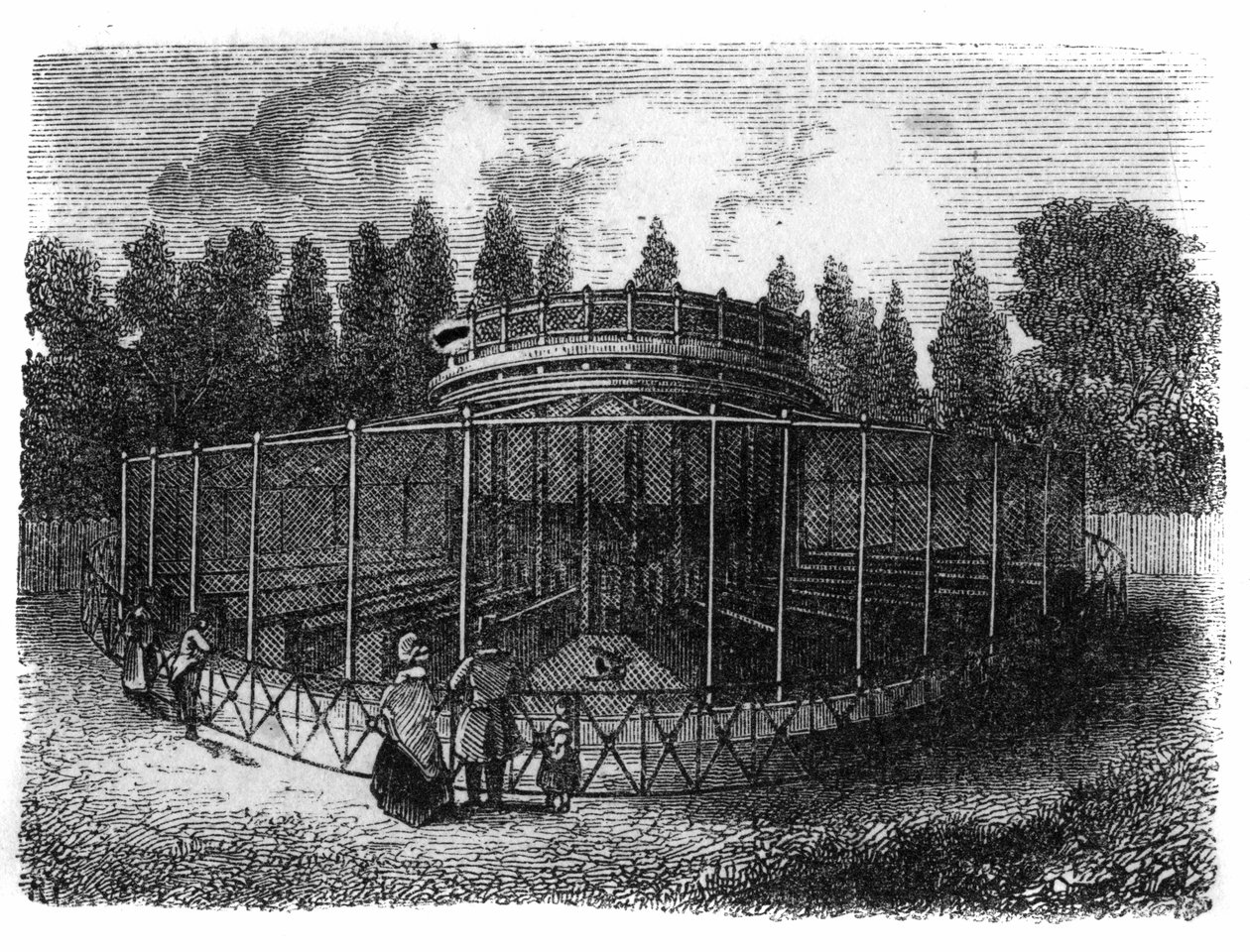 Jardin des Plantes Párizsban 1861-ben: pheasanderie. alkotó: Unknown artist