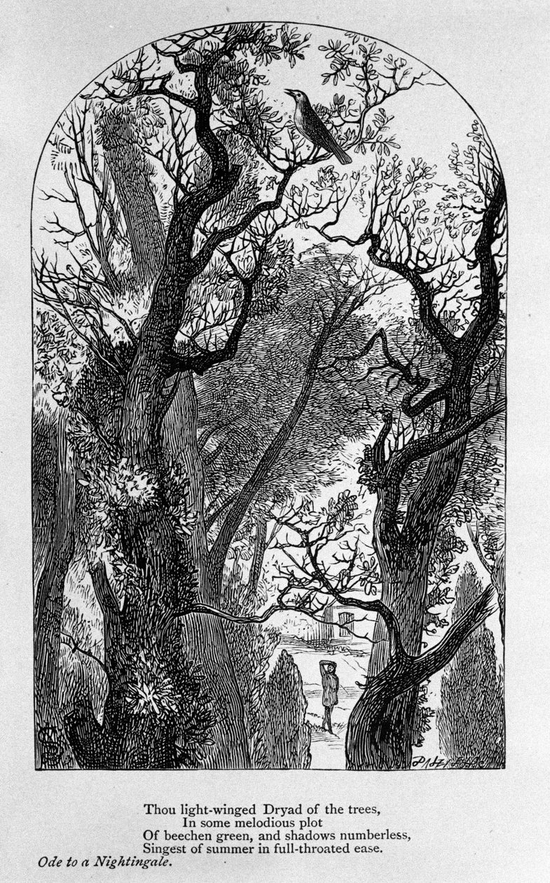 John Keats: Óda egy csalogányhoz alkotó: Unknown artist