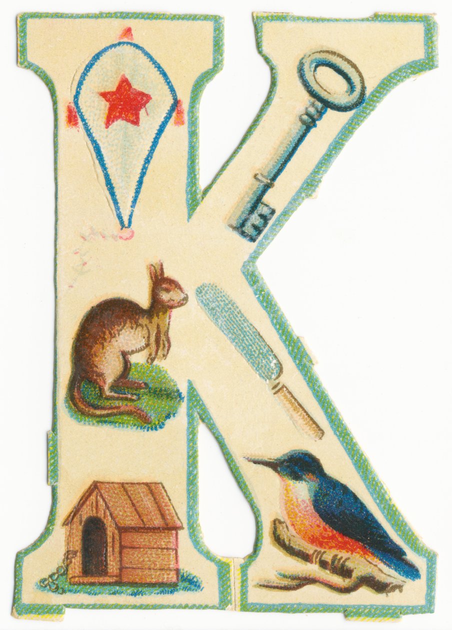 V: Rovarok, sárkányok, kenguruk, tűlevelűek, kennelek, jégmadár (fekete litho) alkotó: Unknown artist