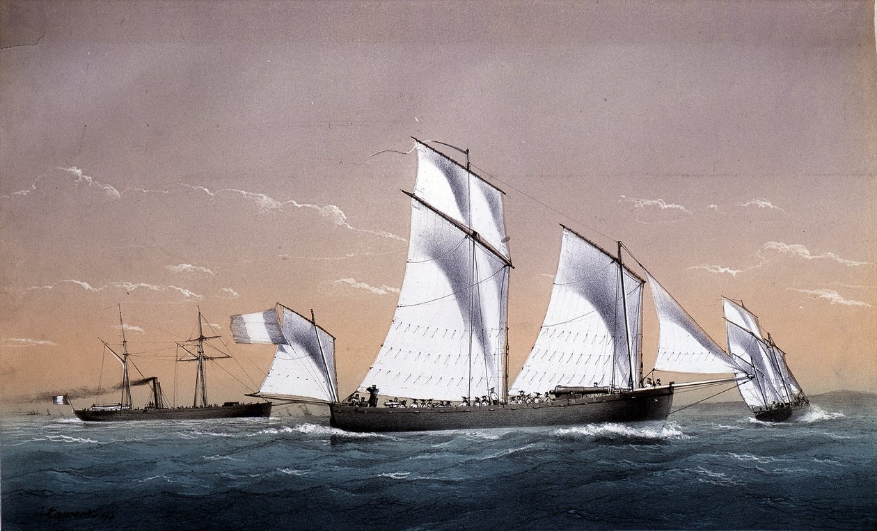 Az Univerzális Flotta – a „Marines 1850 körül”-ben, A.D. alkotó: Unknown artist