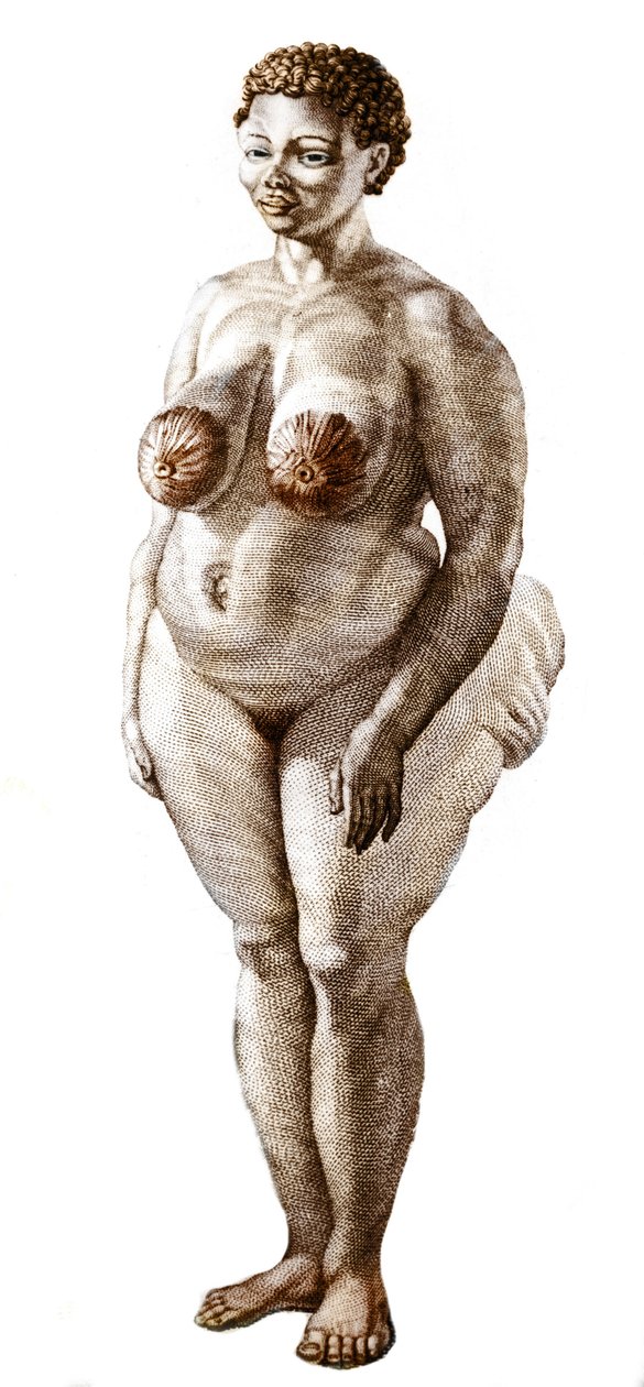 La Venus Hottentote, Bochiman fajtájú nő (The Hottentot Venus), 1815-ös metszet. alkotó: Unknown artist