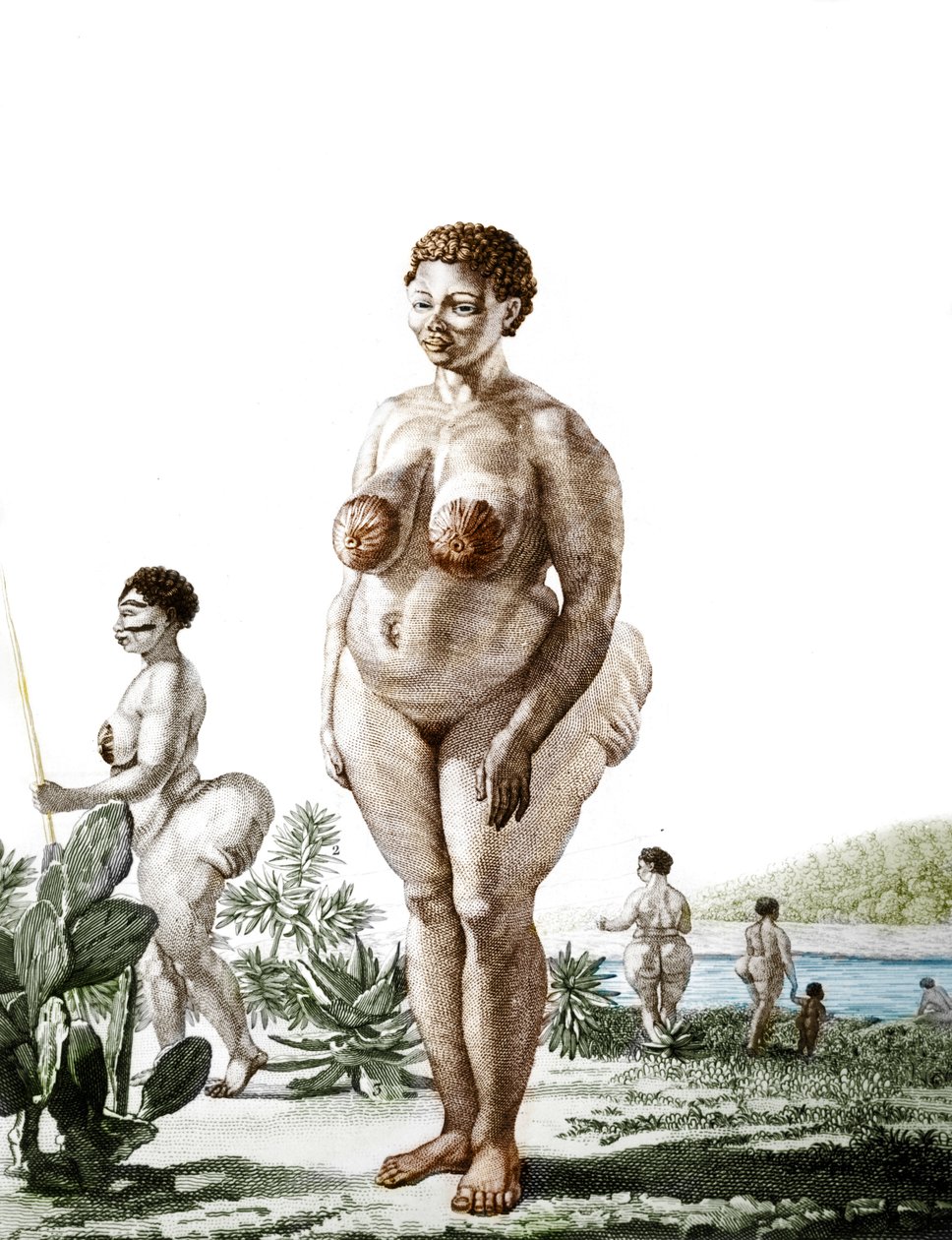 La Venus Hottentote, Bochiman fajtájú nő (The Hottentot Venus), 1815-ös metszet. alkotó: Unknown artist