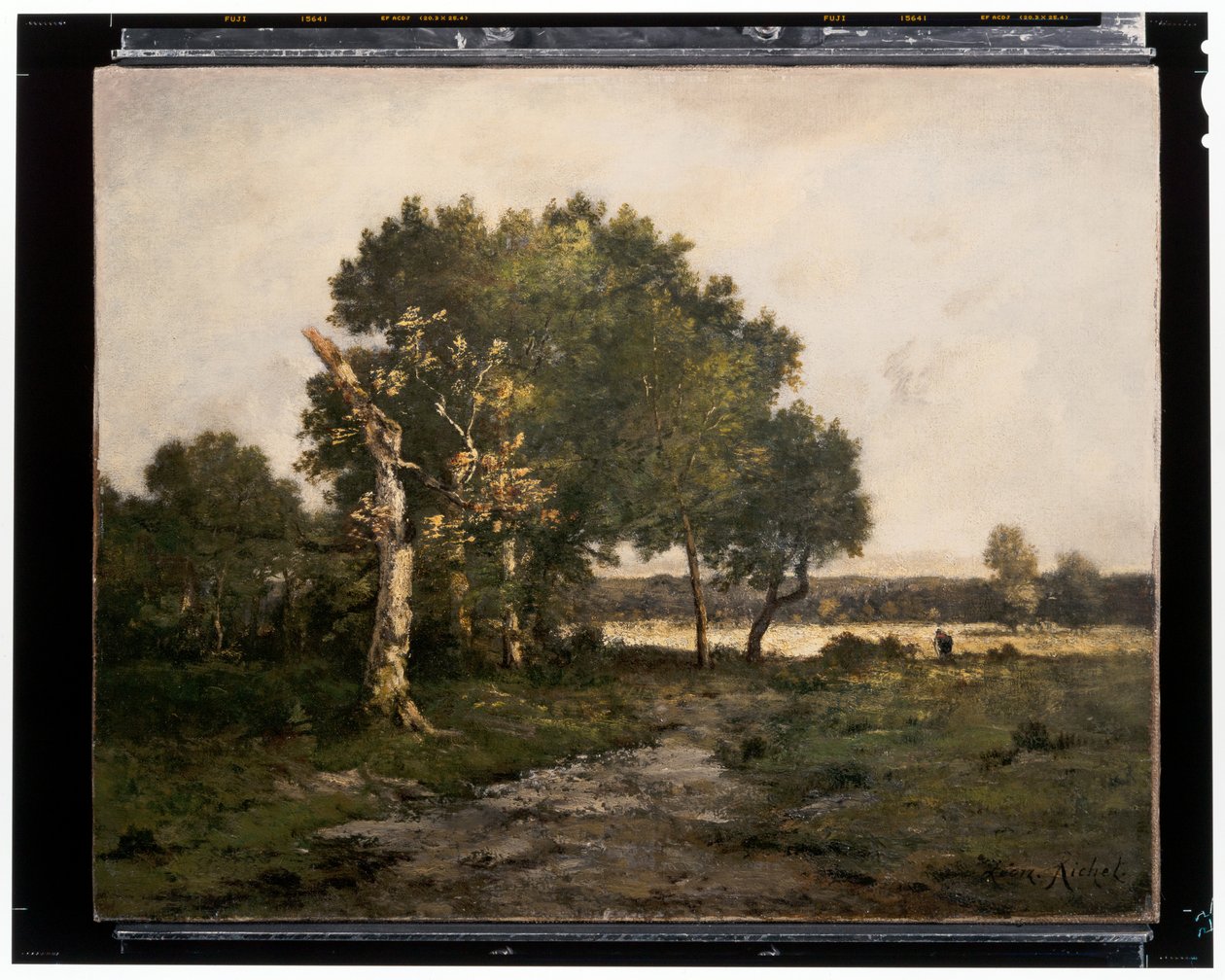 Landscape, c.19th century (oil on canvas) alkotó: Unknown artist