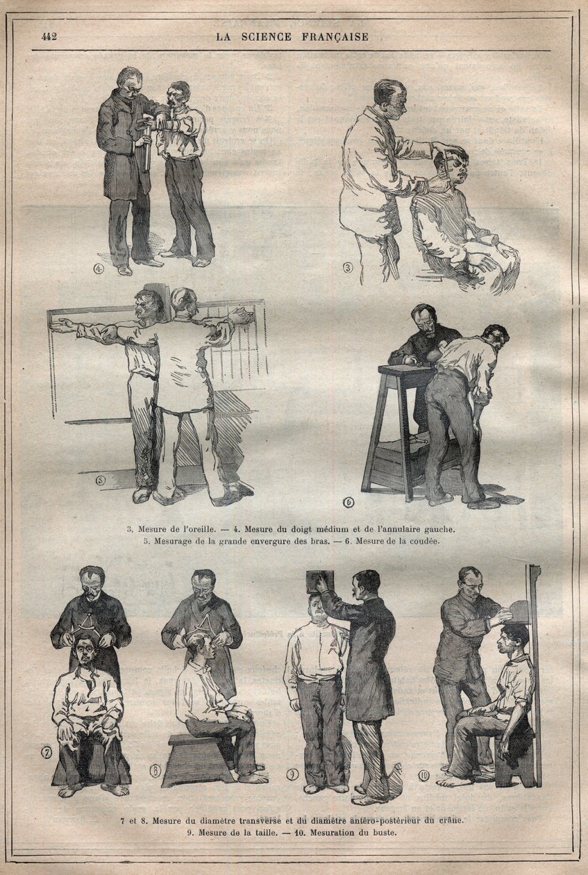 Bírói antropometria vagy bertillonnage, Alphonse Bertillon (1853-1914) módszere – Metszet a „La Science francaise”-ben” alkotó: Unknown artist