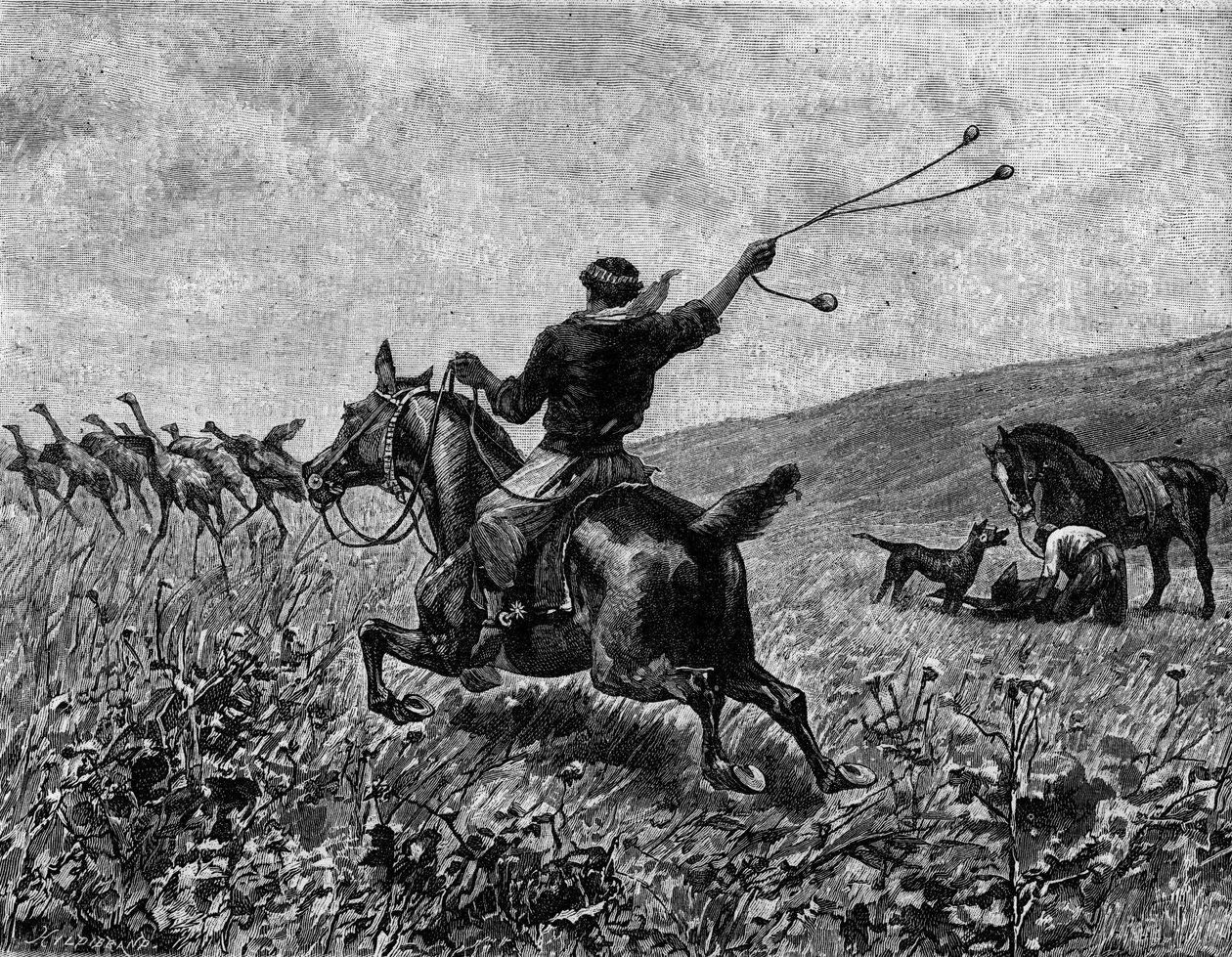 Lasszó: kazuárvadászat golyós lasszóval. Metszet a „” The Journal of Youth”-ban alkotó: Unknown artist