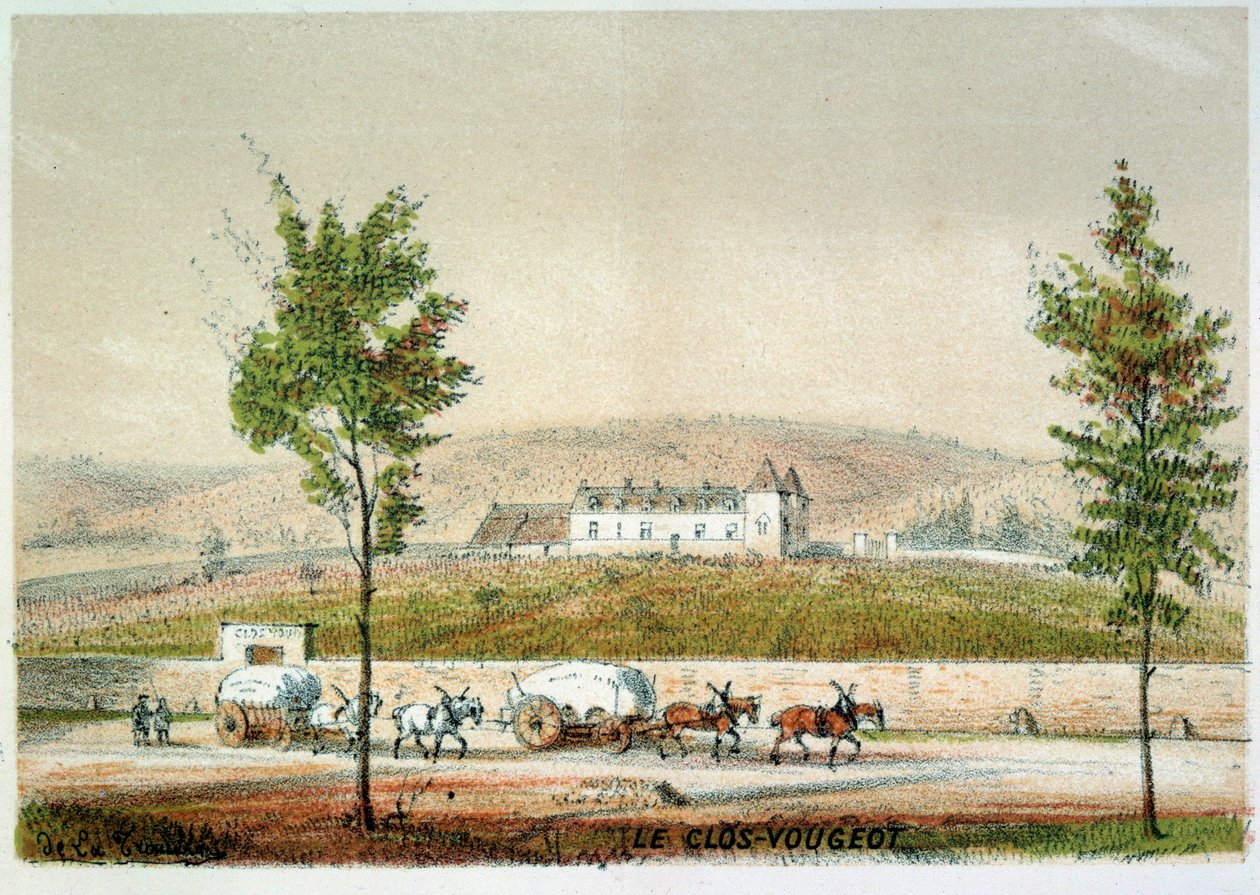 Le clos Vougeot, a Cote d