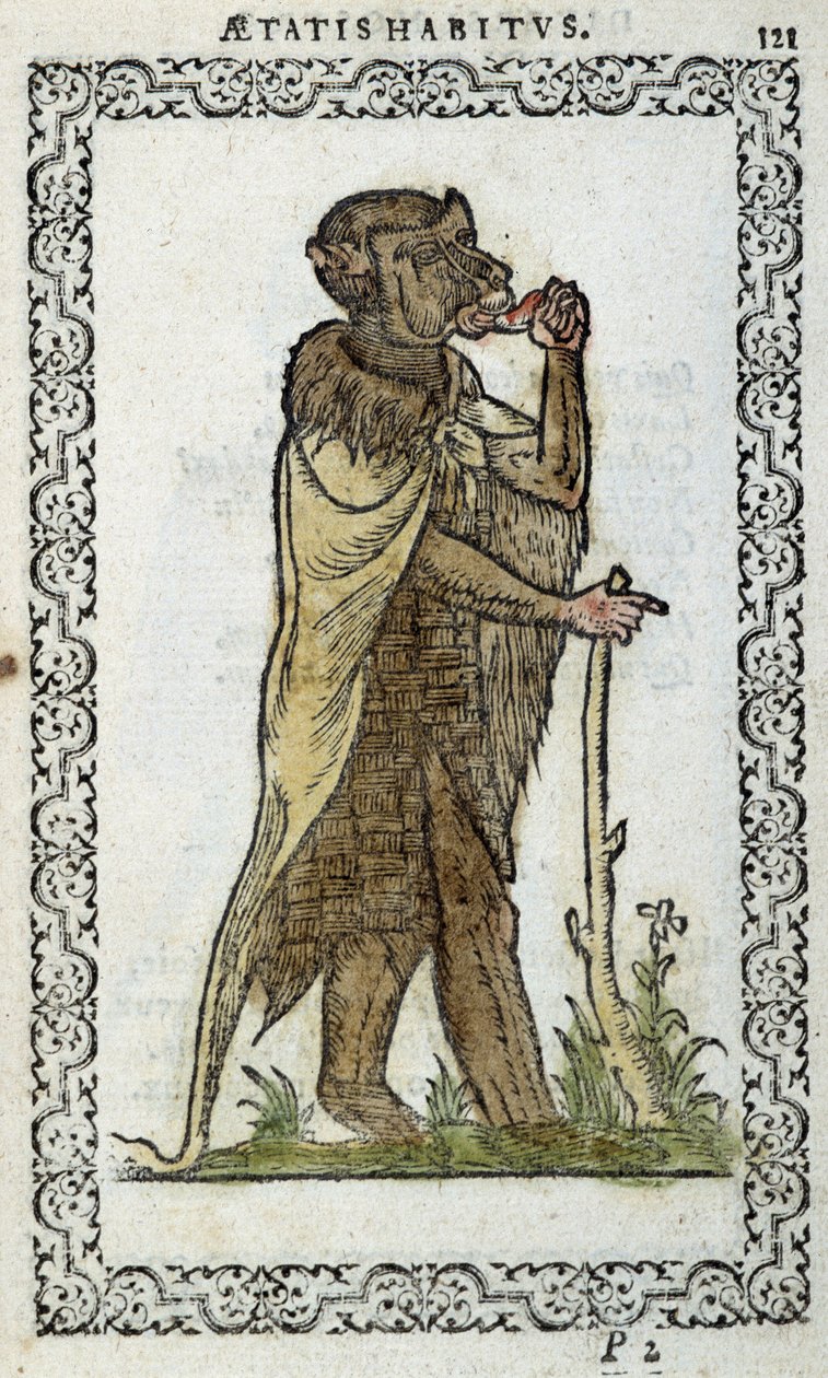 Az álló monge – Jean Sulperius „Habits et effigies” című könyvében alkotó: Unknown artist