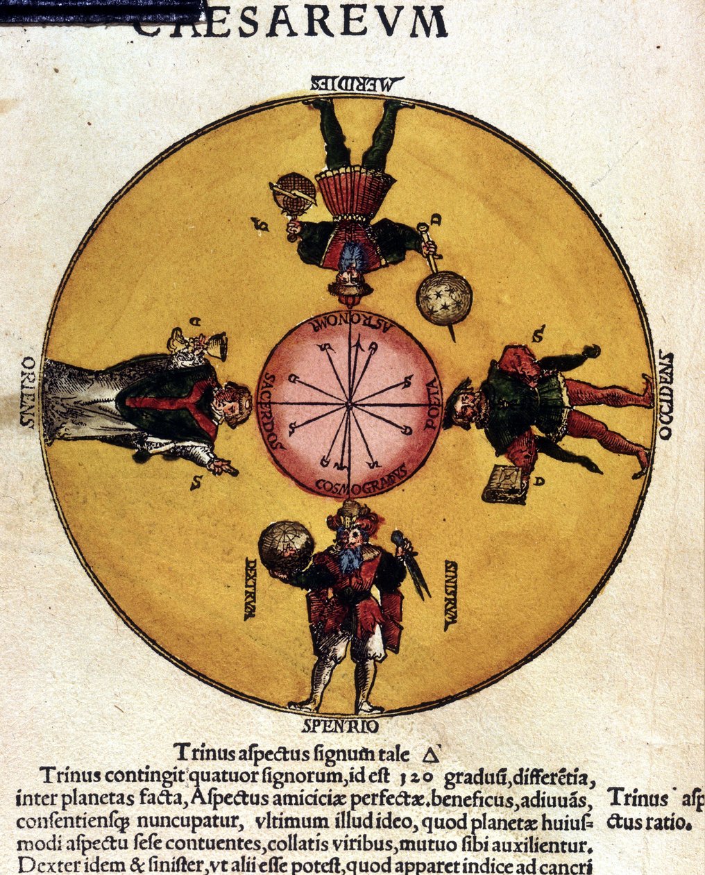 Les antipodes - in „” Astronomicon caesarum””, 16. századi értekezés. alkotó: Unknown artist