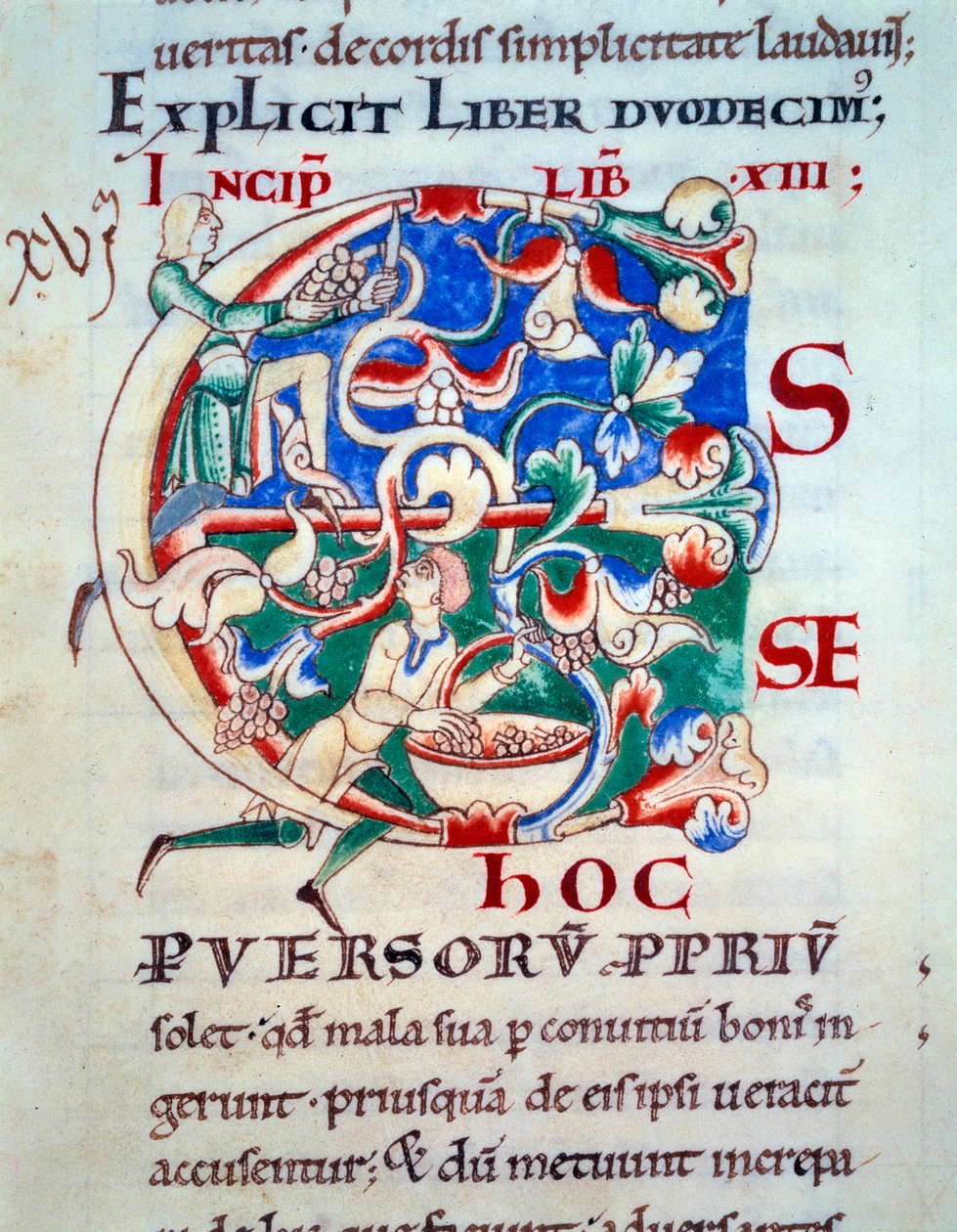 C betű; 12. század eleji szőlő. A középkor miniatűrje. „Moralia in Job” kézirat a Citeaux-i apátságból I. Gergely pápának alkotó: Unknown artist