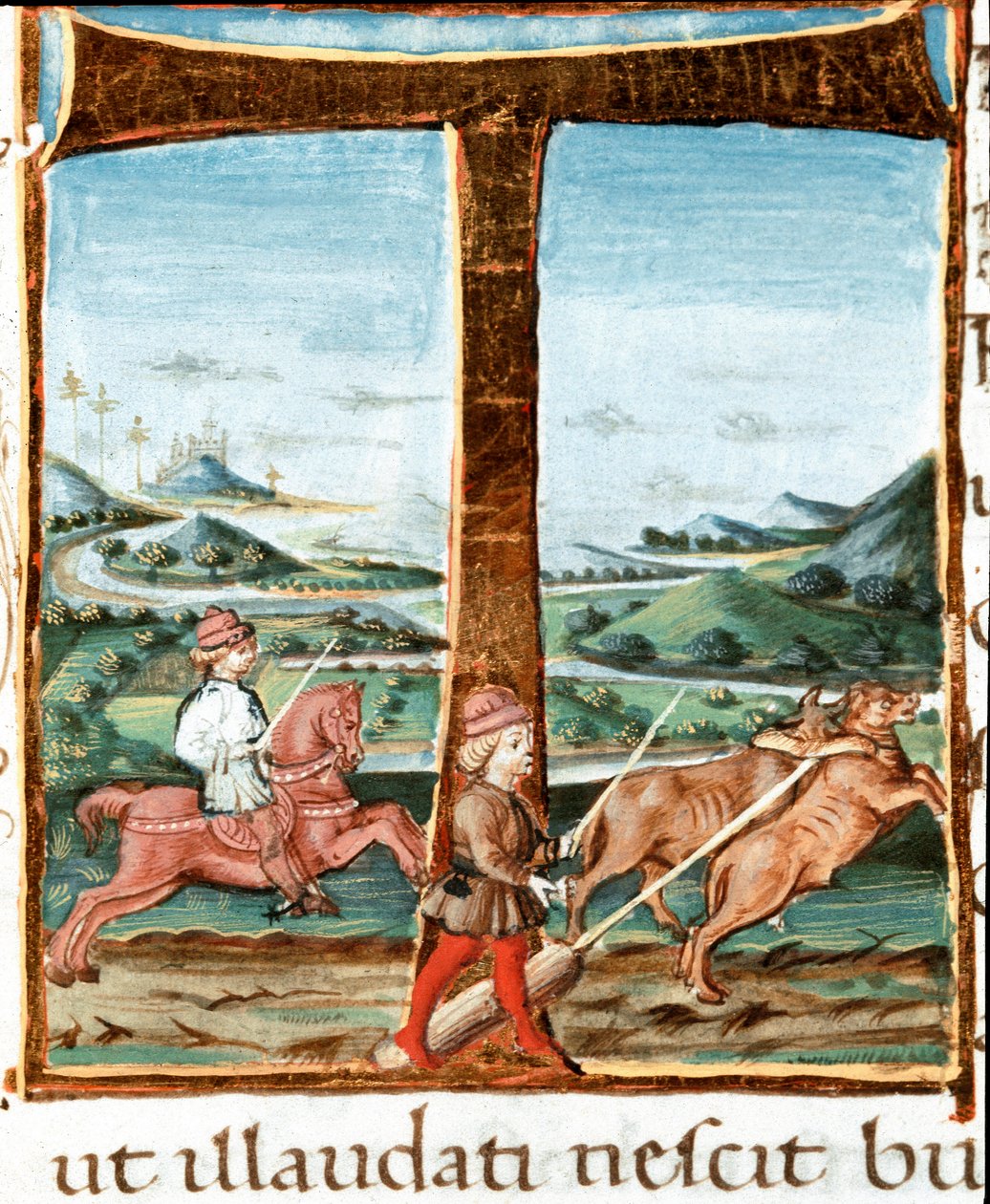 Lettrine T decoree egy lovasról és egy ökrök kiképzőjéről – Vergilius (Publius Vergilius Maro) (Kr. e. 70-19) miniatúrája a „The Bucoliques”-ból” (Eglogues) (Ms IV E.12). 15. századi Nápoly, Nemzeti Könyvtár alkotó: Unknown artist