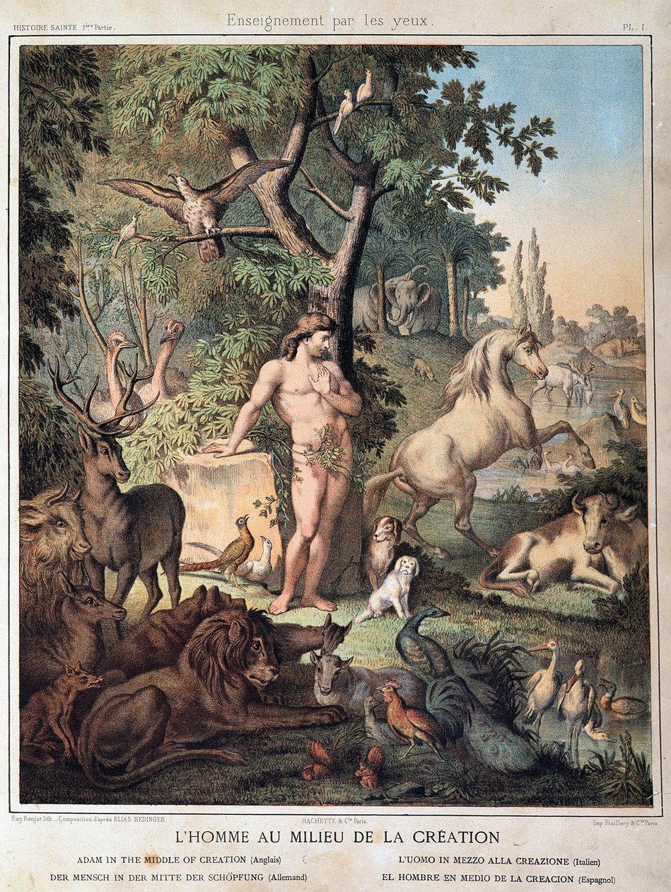 Ember a teremtés közepén – a „Szent történelemben””, szerk. Szekerce alkotó: Unknown artist