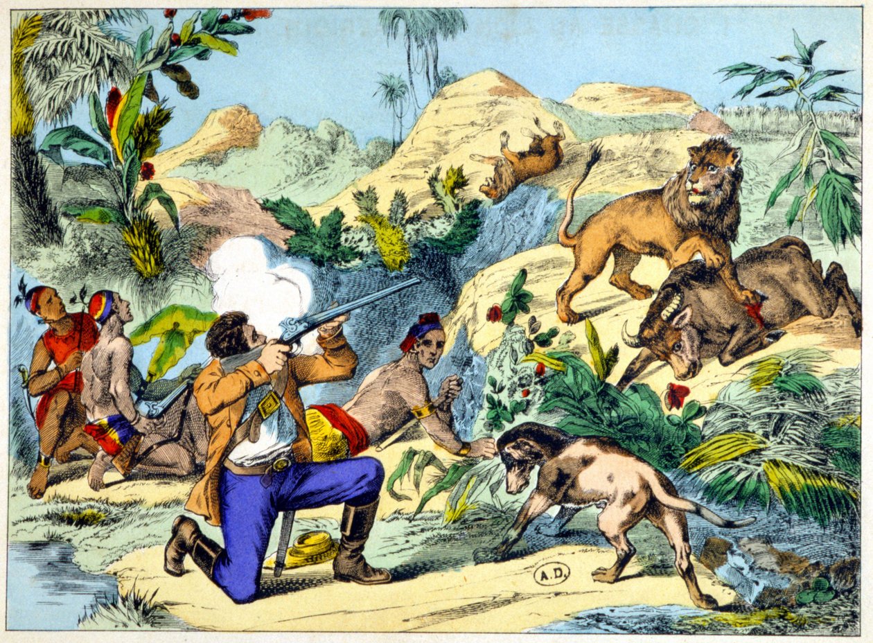 Oroszlánvadászat Dél-Afrikában. 19. századi metszet. alkotó: Unknown artist