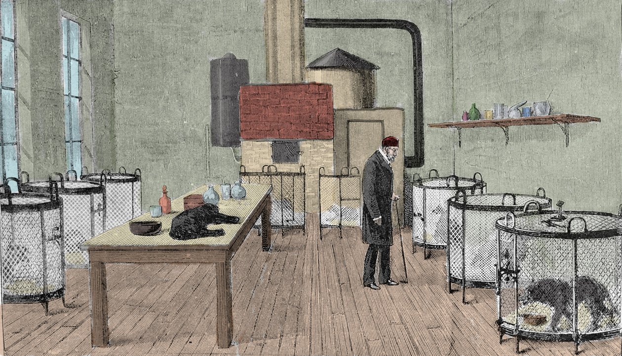 Louis Pasteur (1822-1895), francia kémikus és fizikus párizsi laboratóriumában. alkotó: Unknown artist