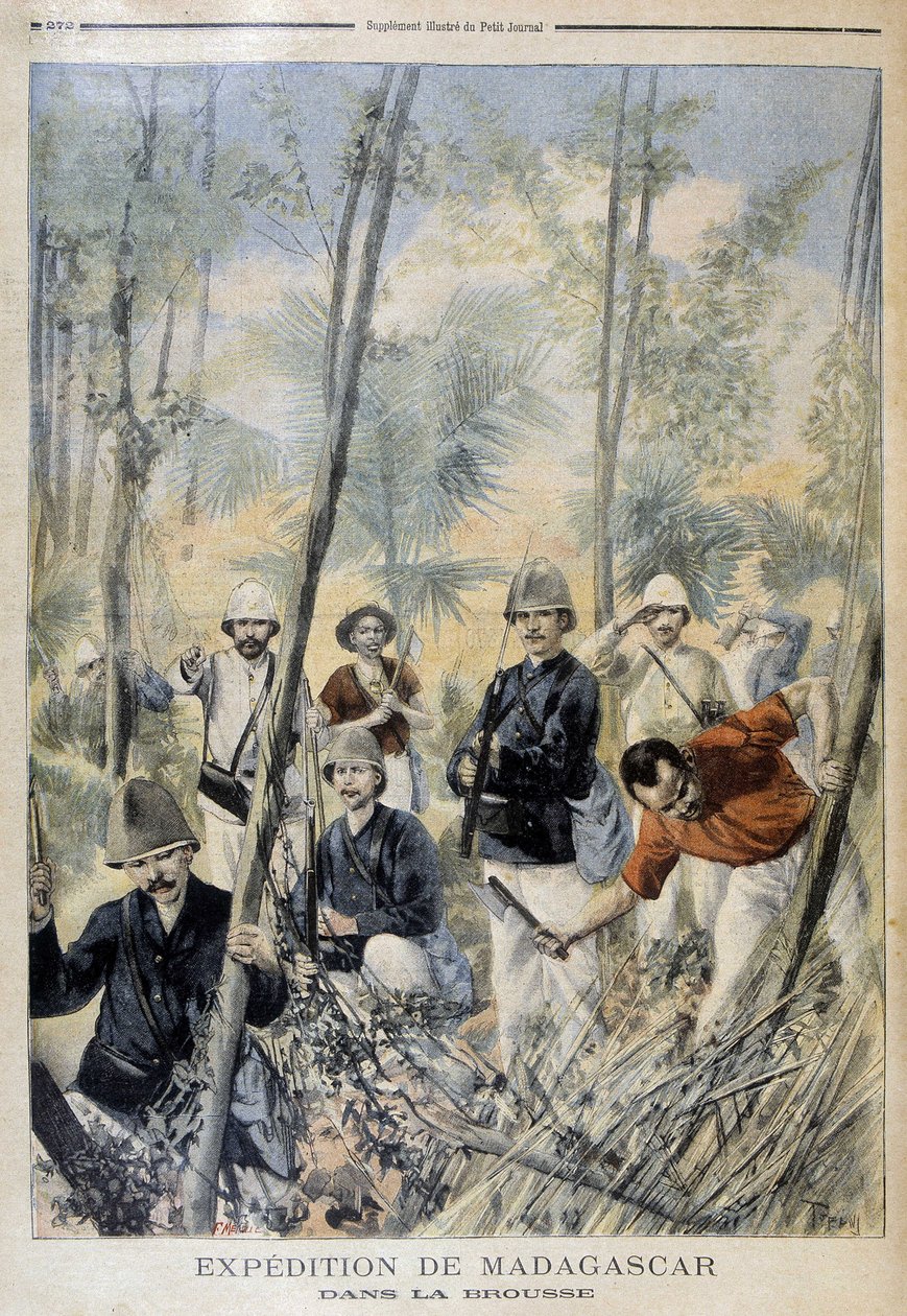 Madagaszkári expedíció: a bokorban - a „” Le Petit Journalban”, 1895. augusztus alkotó: Unknown artist
