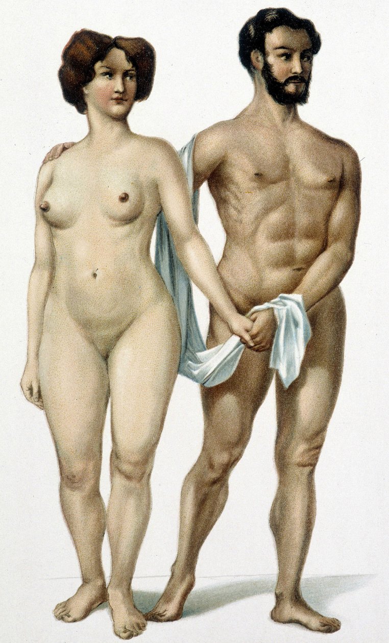 Férfi és nő - orvosi könyv, 19. század vége alkotó: Unknown artist