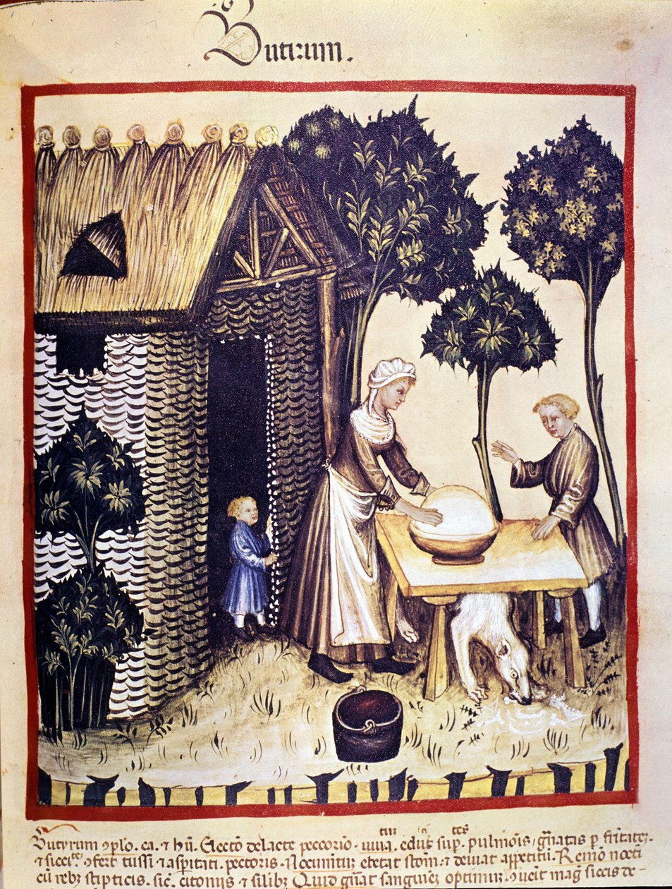 Vaj gyártása. Megvilágítás az orvostudomány és a dietetika fejéséből "" Tacuinum sanitatis"" alkotó: Unknown artist