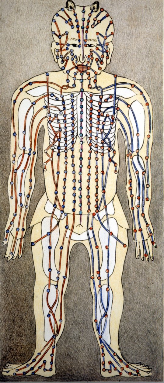 Gyógyszer. Az emberi test diagramja az akupunktúra tanulmányából. Magánkönyvtár, Milánó. alkotó: Unknown artist