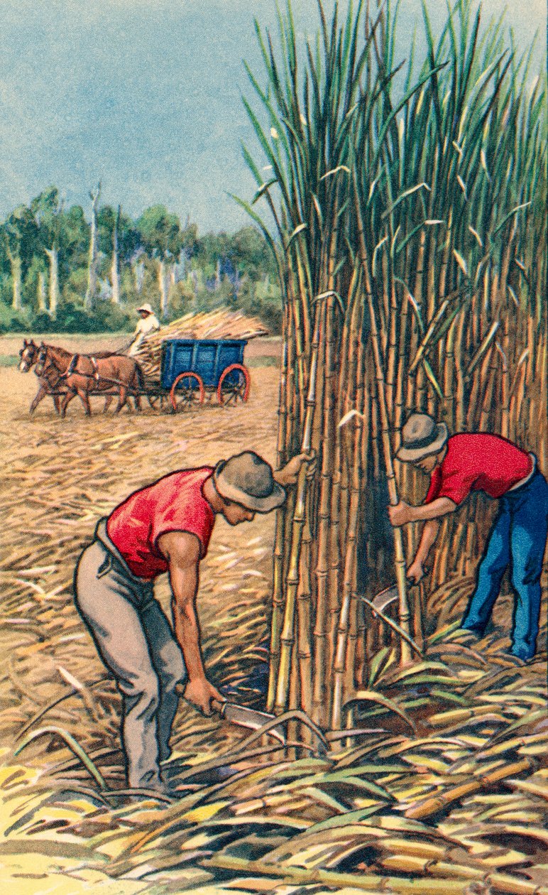 alkotó: Unknown Artist