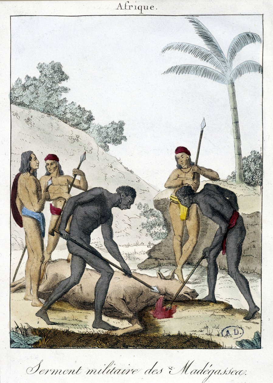 Madagaszkár lakóinak katonai esküje (levágott egy ökröt) - grv. 1811 alkotó: Unknown artist