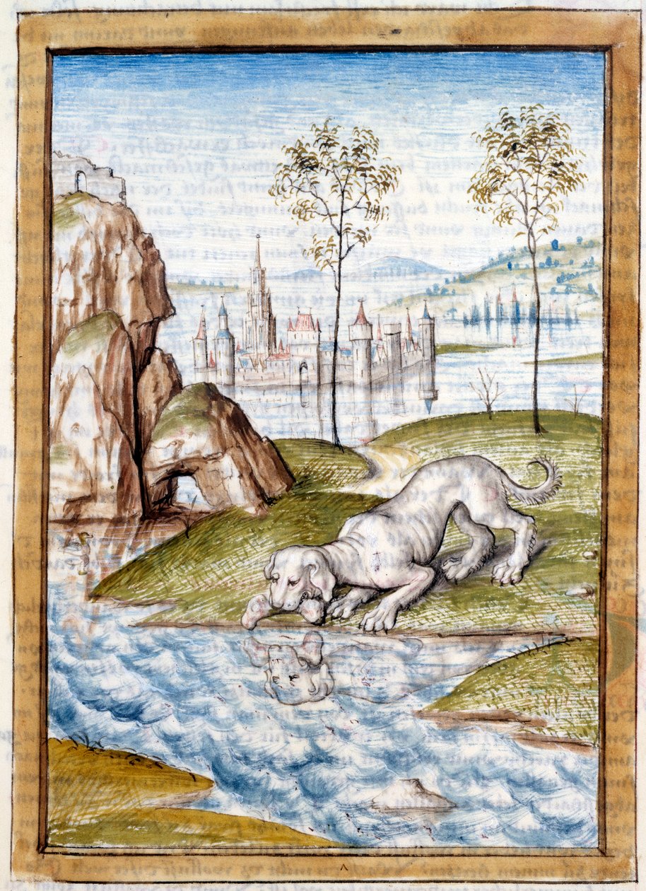 Miniatűr állatok Bidpai „” Kalila (Calila) és Dimna”” meséinek német fordításából. 15. századi Chantilly, Musee Conde alkotó: Unknown artist