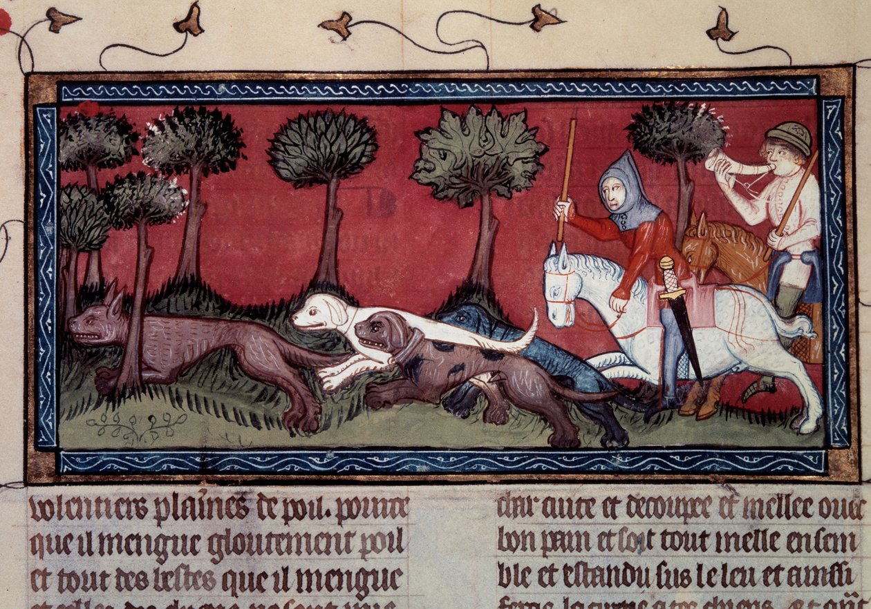 Miniatűr rókavadászat kéziratból fr. Henri de Ferrieres 1297-es „” könyve Modus királyról és a királynő arányáról” (14. század) alkotó: Unknown artist
