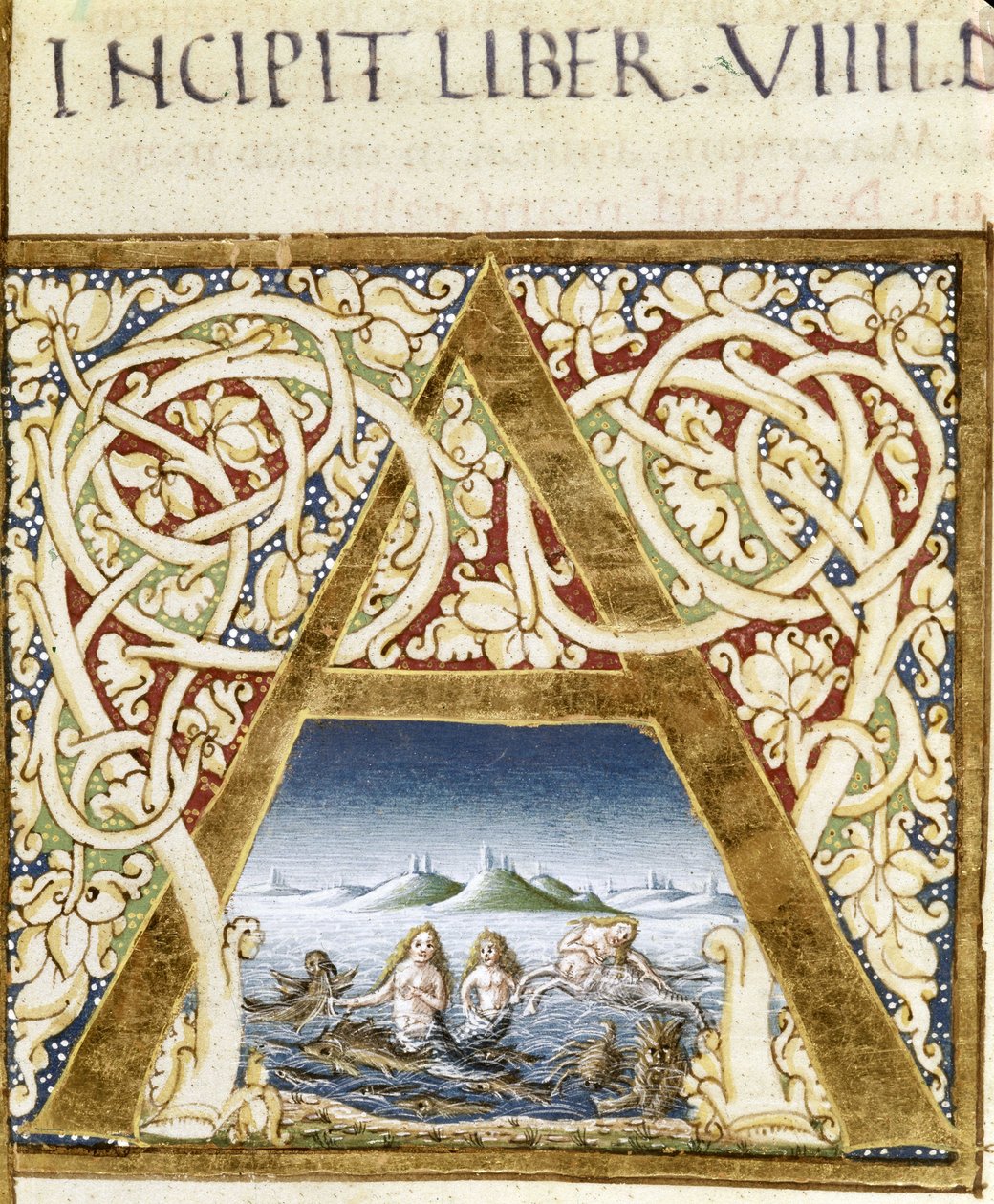 Szirénákat ábrázoló miniatűr. „” A” betű – Idősebb Plinius (23–79) „” Naturalis Historiae” című könyvében, szerk. 1480. Victoria & Albert Könyvtár alkotó: Unknown artist