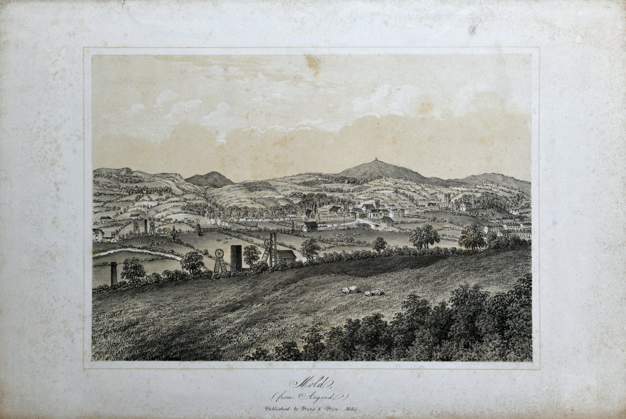 Penész (az Argoedtől), 1850 körül (litho papíron) alkotó: Unknown artist
