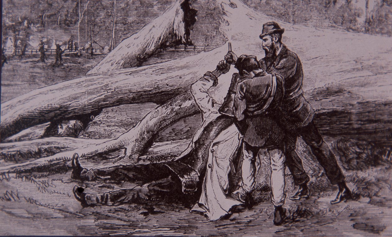 Ned Kellyt Kelly rendőrtiszt és Jesse Dowsett vasutas fogta el, 1880. június 28-án (metszet) alkotó: Unknown artist