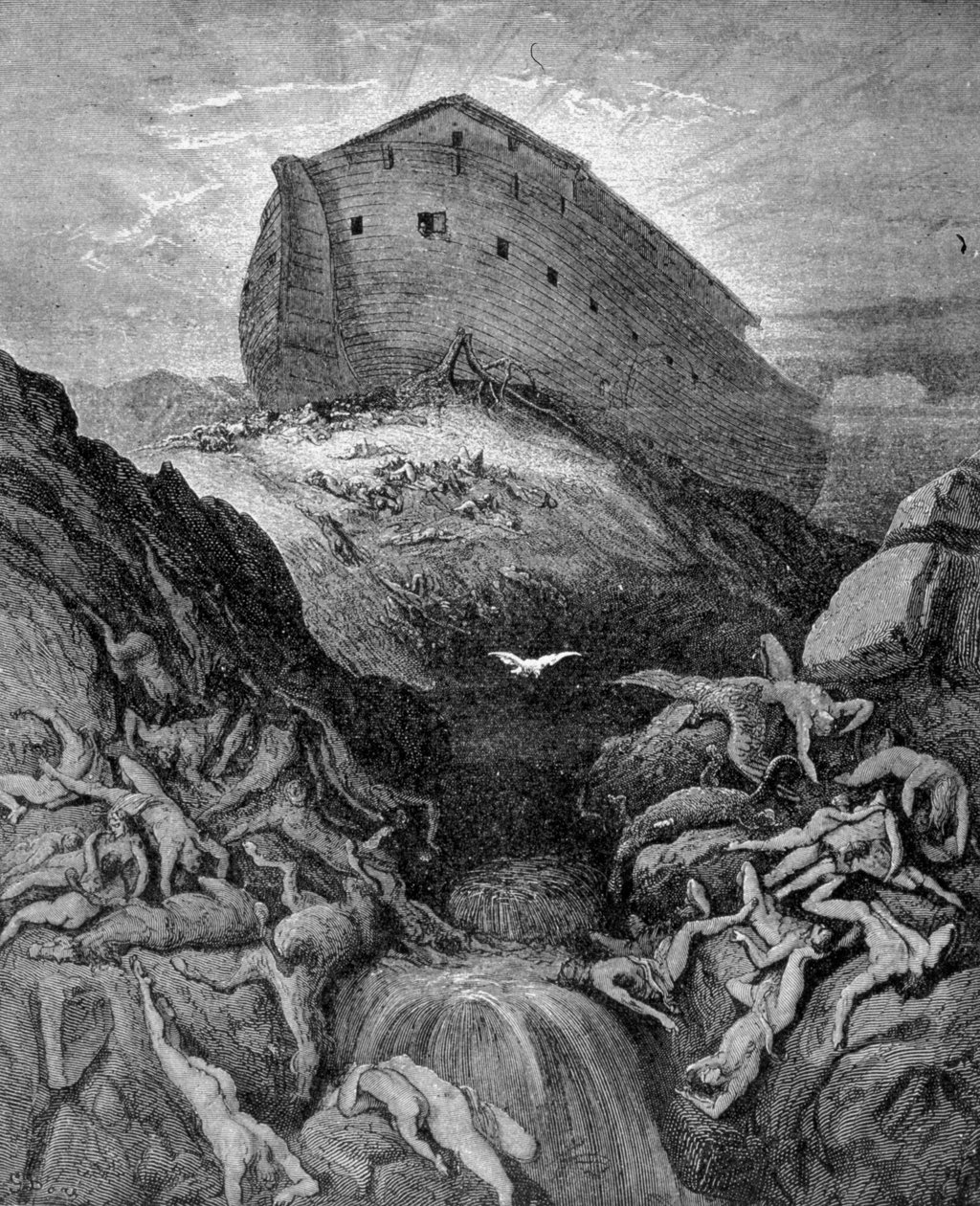 Noé galambot küld a Földre, a Genezis szerint. 19. századi metszet. alkotó: Unknown artist