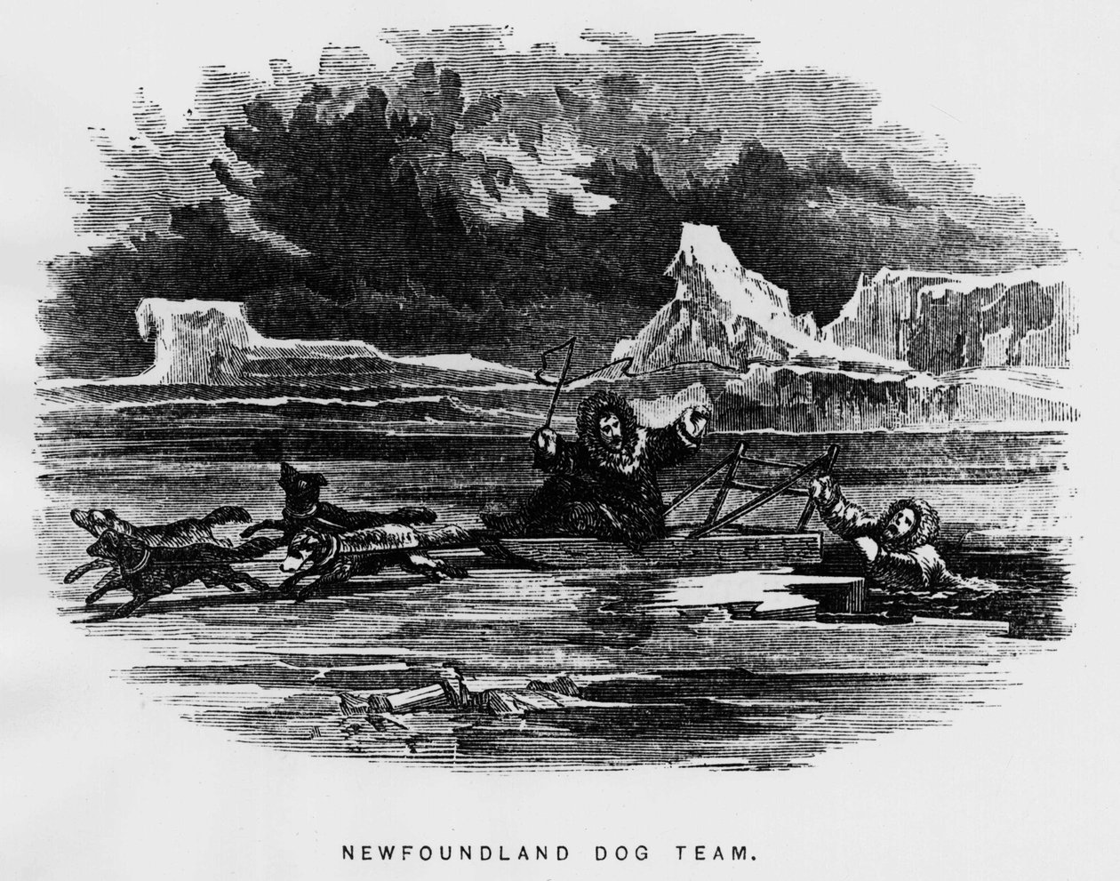 Északi-sark: szánhúzó kutya lebegett egy embert átesett a jégen - Elisha Kent Kane, Arctic Explorations in the years 1853-1855, Philadelphia, Childs és Peterson alkotó: Unknown artist