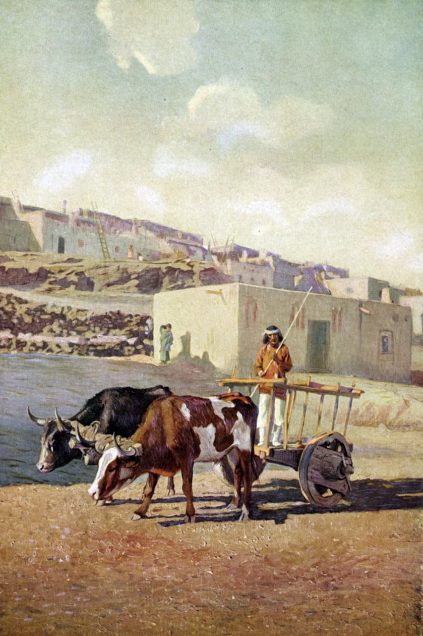 Két ökör által húzott régi caretta (szekér), amelyet egy pueblo indián hajtott az új-mexikói Lagunában. alkotó: Unknown artist