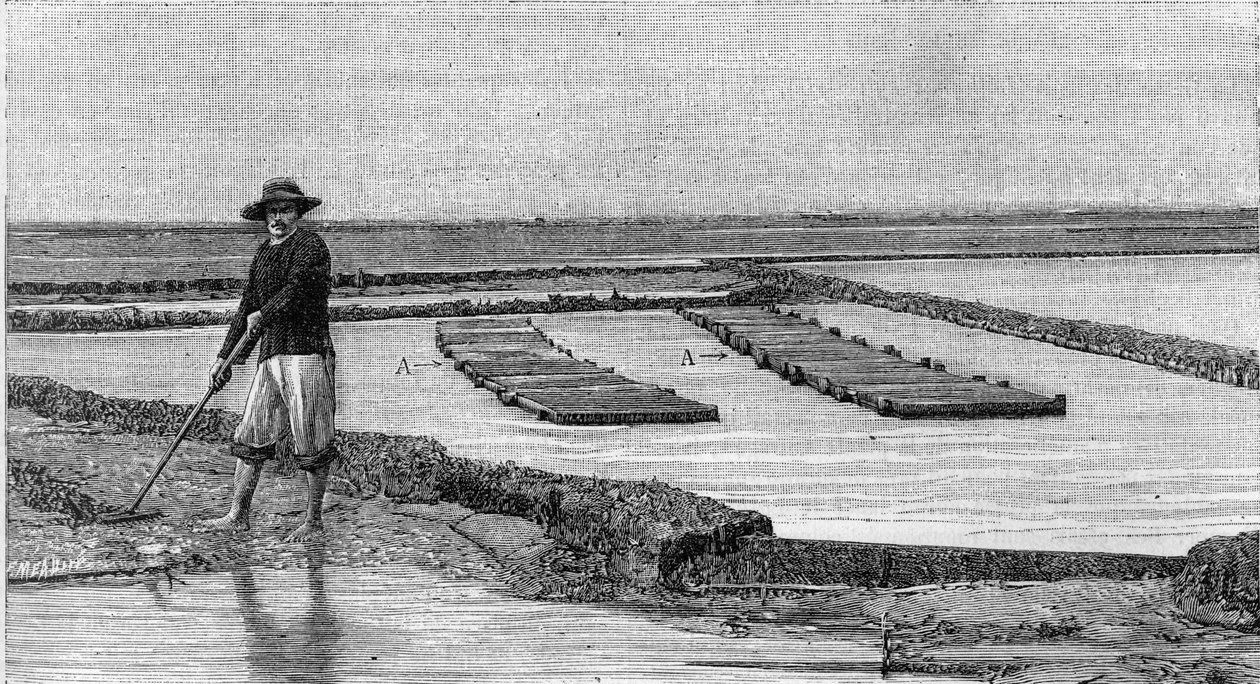 Ostreiculture – osztrigatenyésztés az Arcachon-medencében (1894): egy osztrigapark általános képe. A, A: mentőautók vagy ostreofil ládák. (Fényképről). Gravírozás „” La Nature: revue des sciences et de leurs applications aux arts et a l