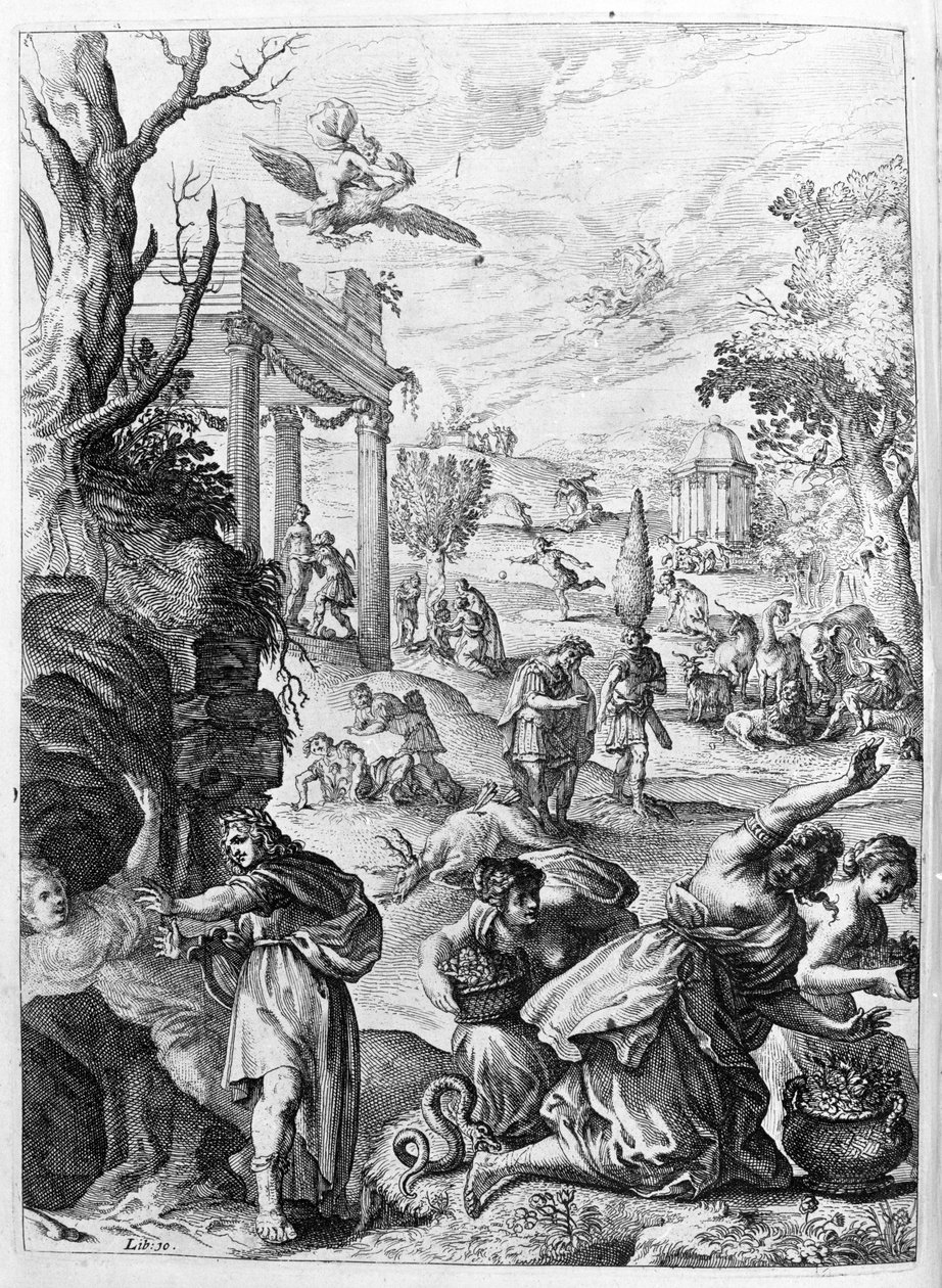 Ovidius (Ovidius) - illusztráció a 15. könyvhöz - (P. Ovidius: Az éjszaka metamorfózisai alkotó: Unknown artist
