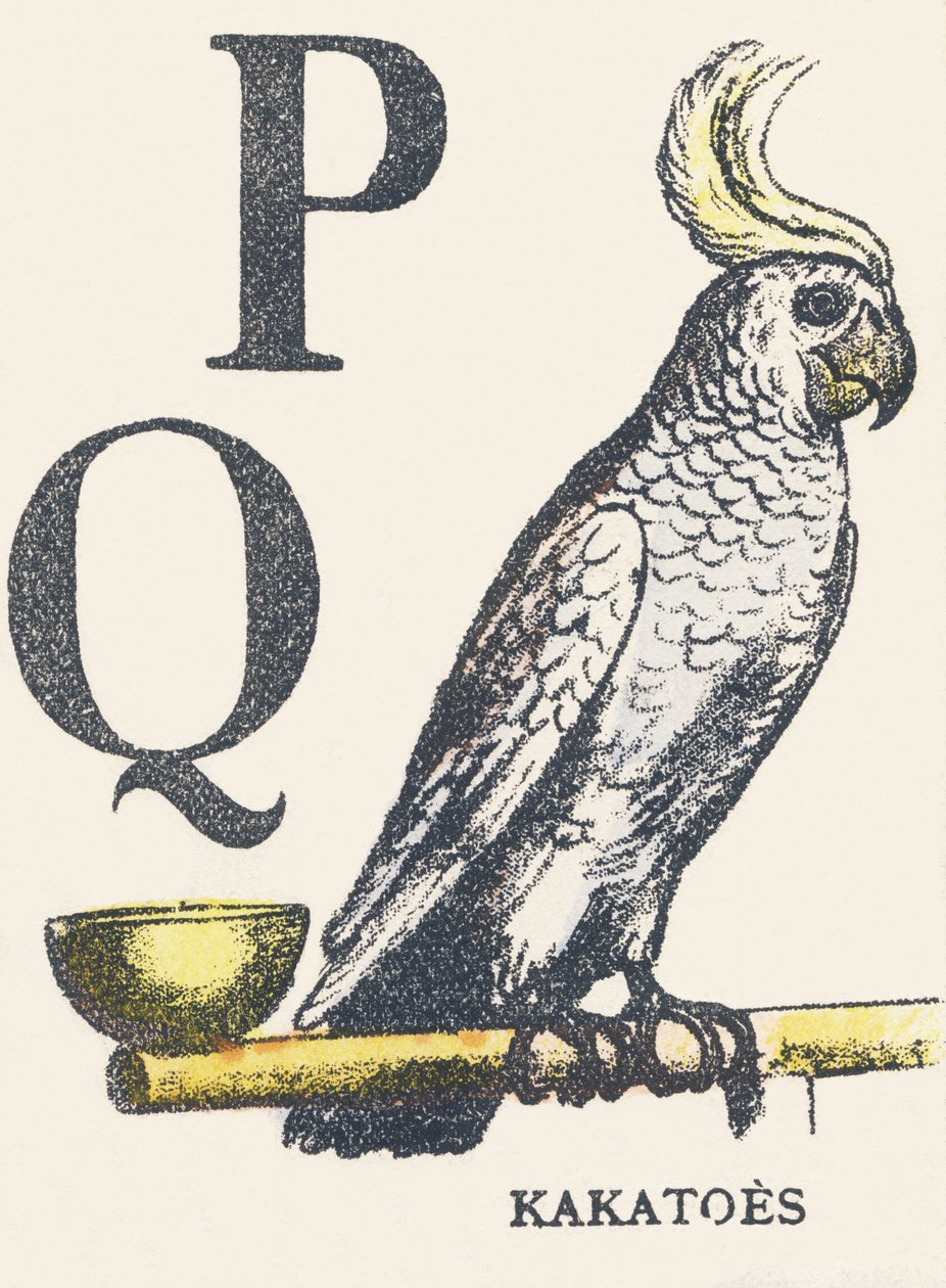 P K: kókuszdió alkotó: Unknown artist