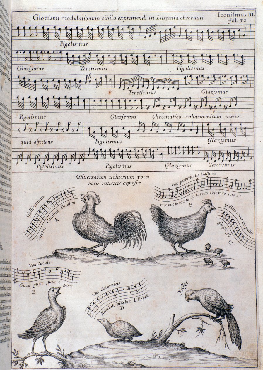 Oldal Musurgiából (1650) alkotó: Unknown artist