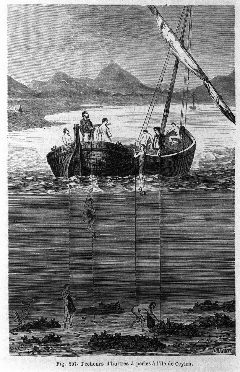 Gyöngybarack Ceylonban (a mai Sri Lanka). alkotó: Unknown artist