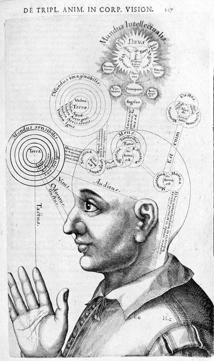 Fiziognómiai kép (frenológia) Robert Fludd (Robertus de Fludd) összegyűjtött műveiből. London 1617 alkotó: Unknown artist
